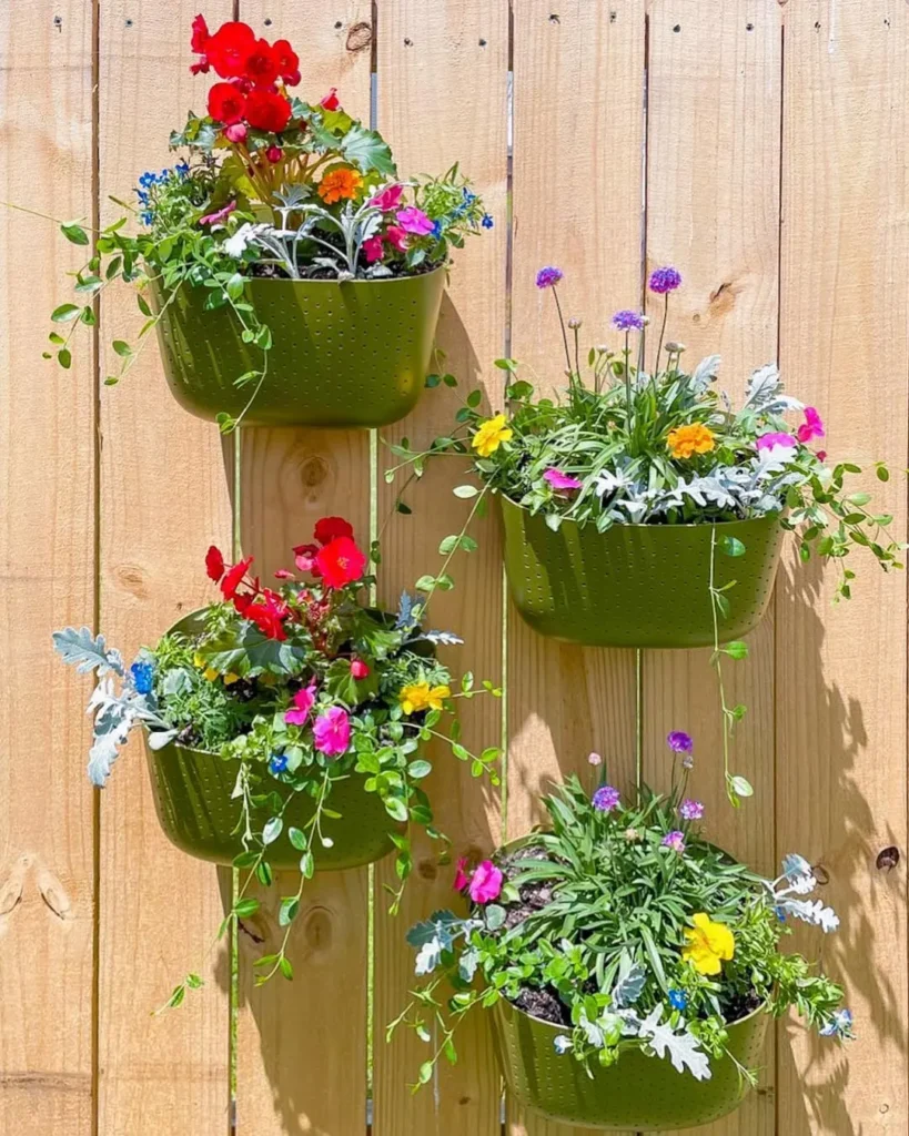 boxes plants with fence