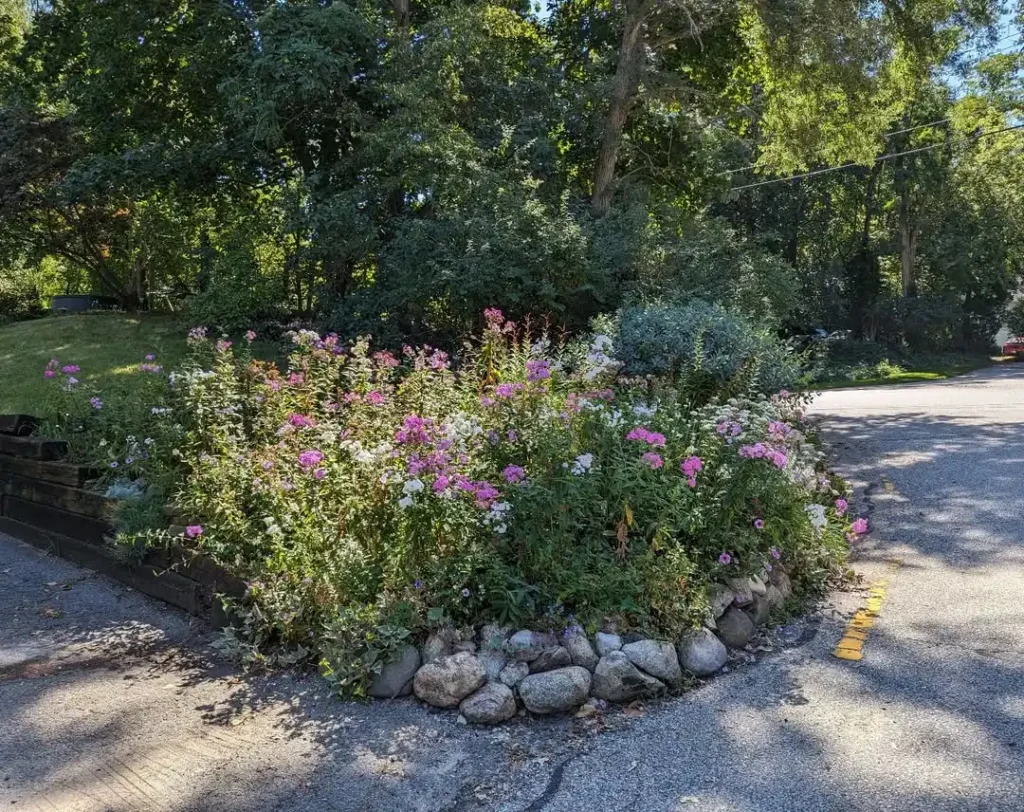 butterfly haven garden