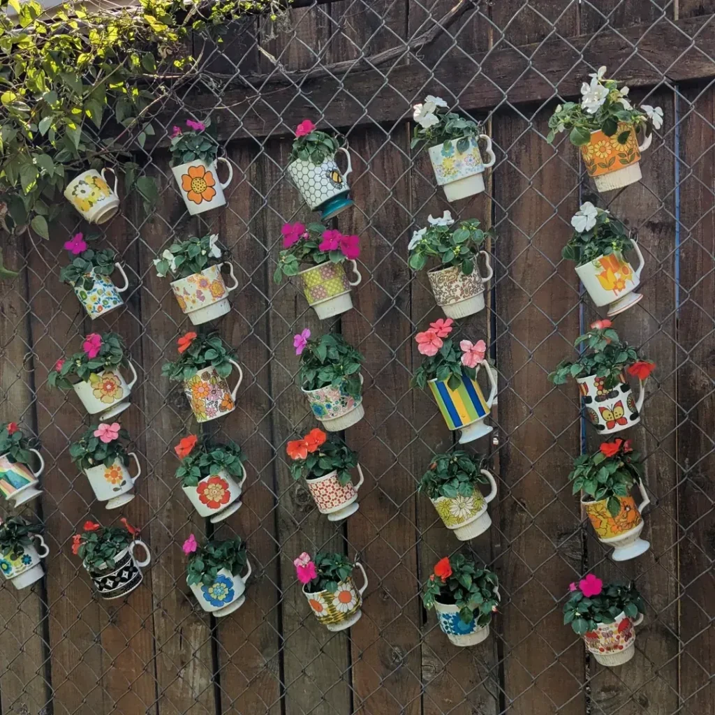 coffeecup plants with fence (1)