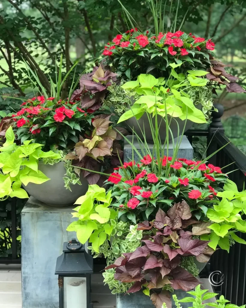 color block container garden design