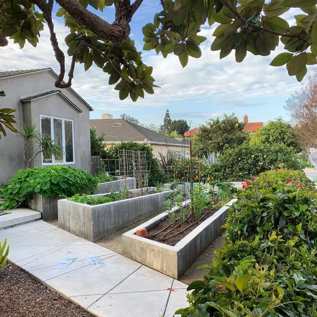 concert beds vegetable garden design