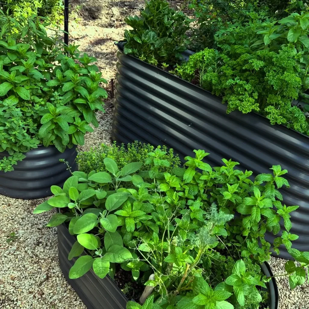 container small herb garden ideas
