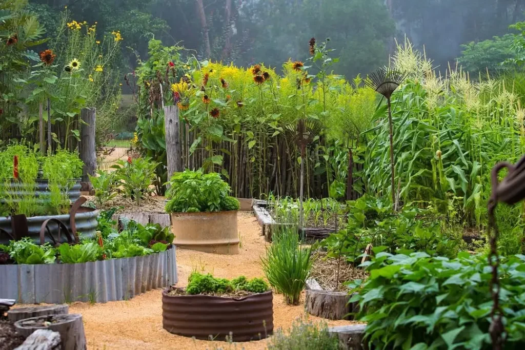 container stair vegetable gardens
