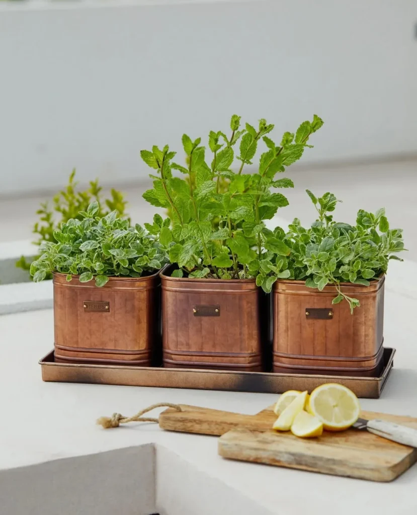 copper pot herb display