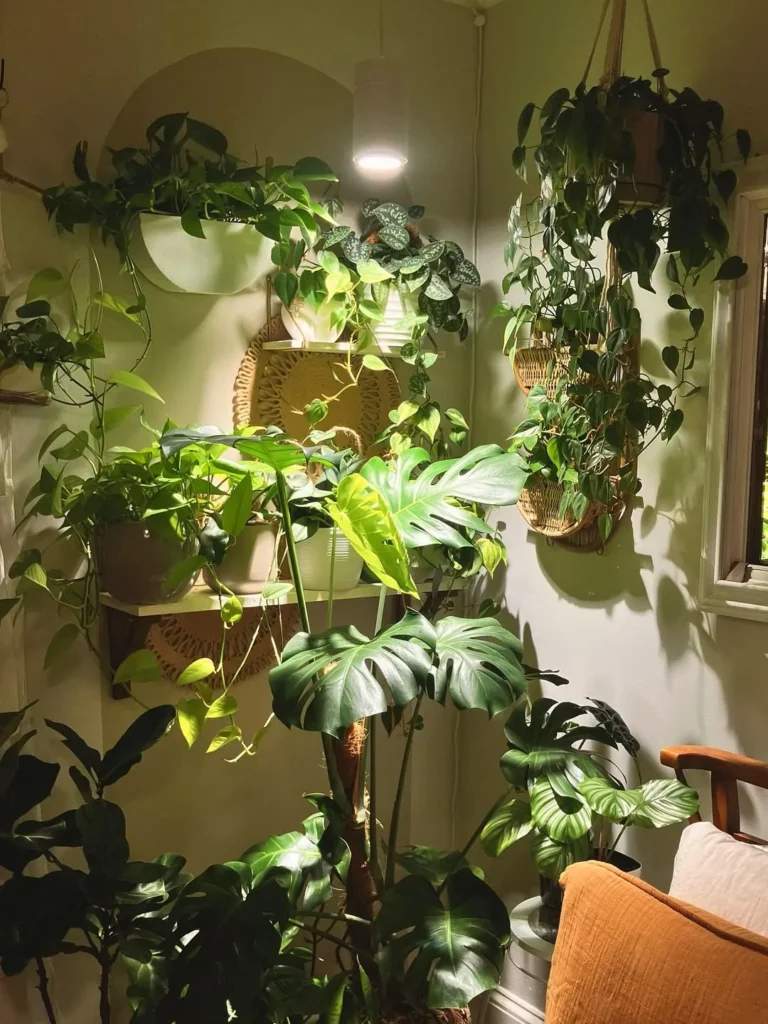 corner plant nook indoor garden