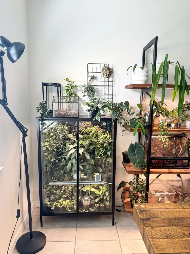 cozy little corner indoor garden