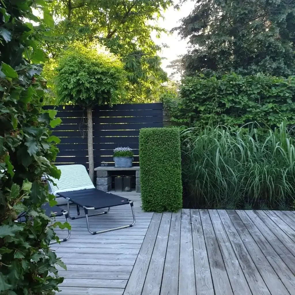 create vertical green walls (1)