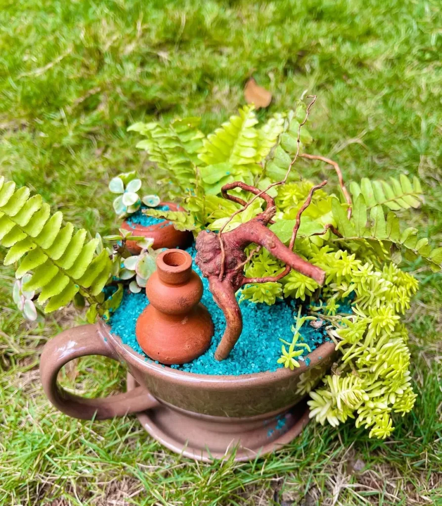 cup and saucer zen garden