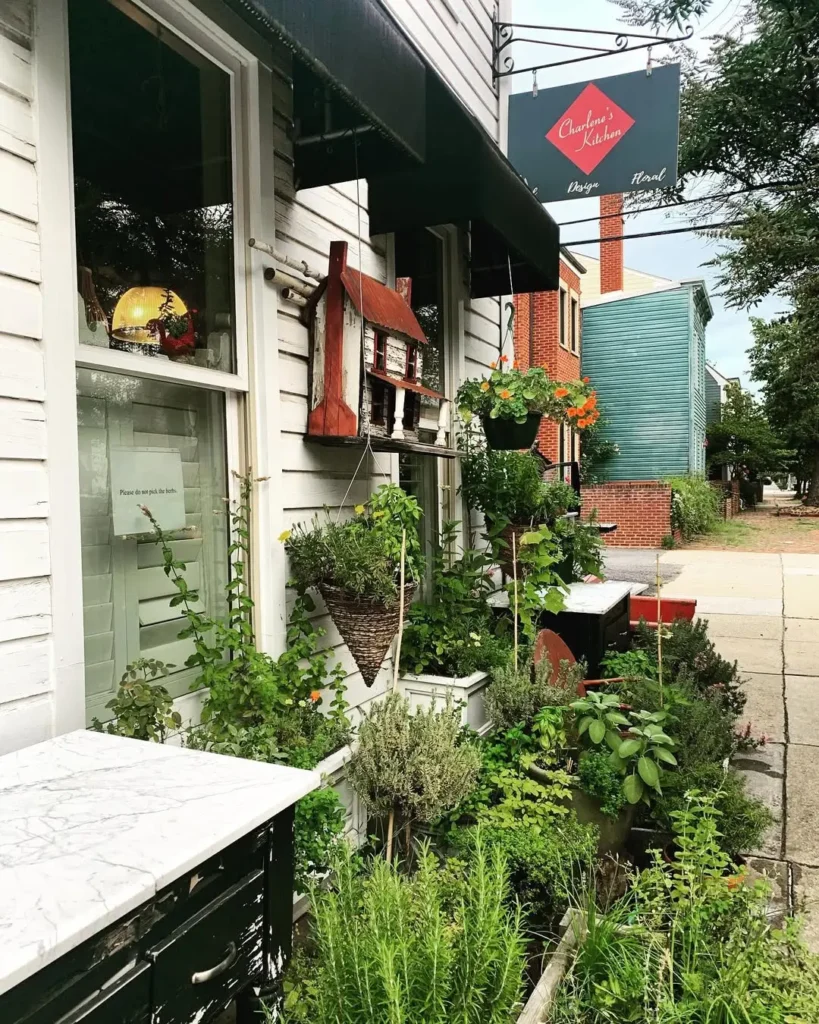 diy herb garden with recycled materials