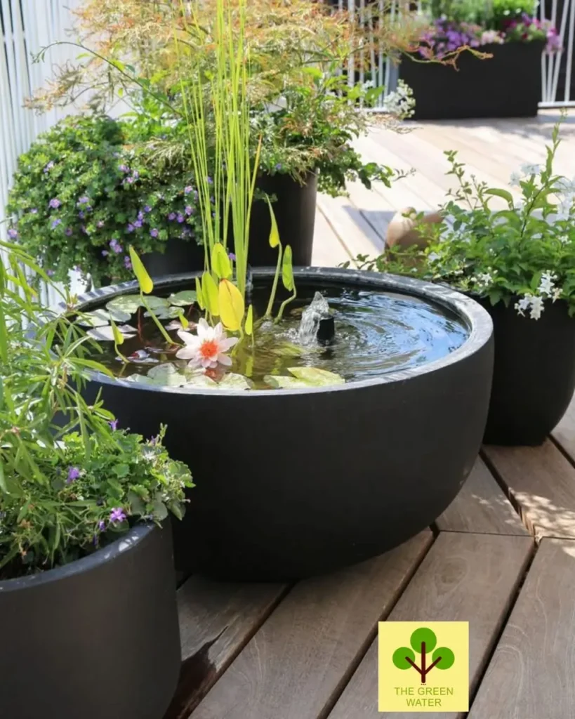 easy water gardens (1)