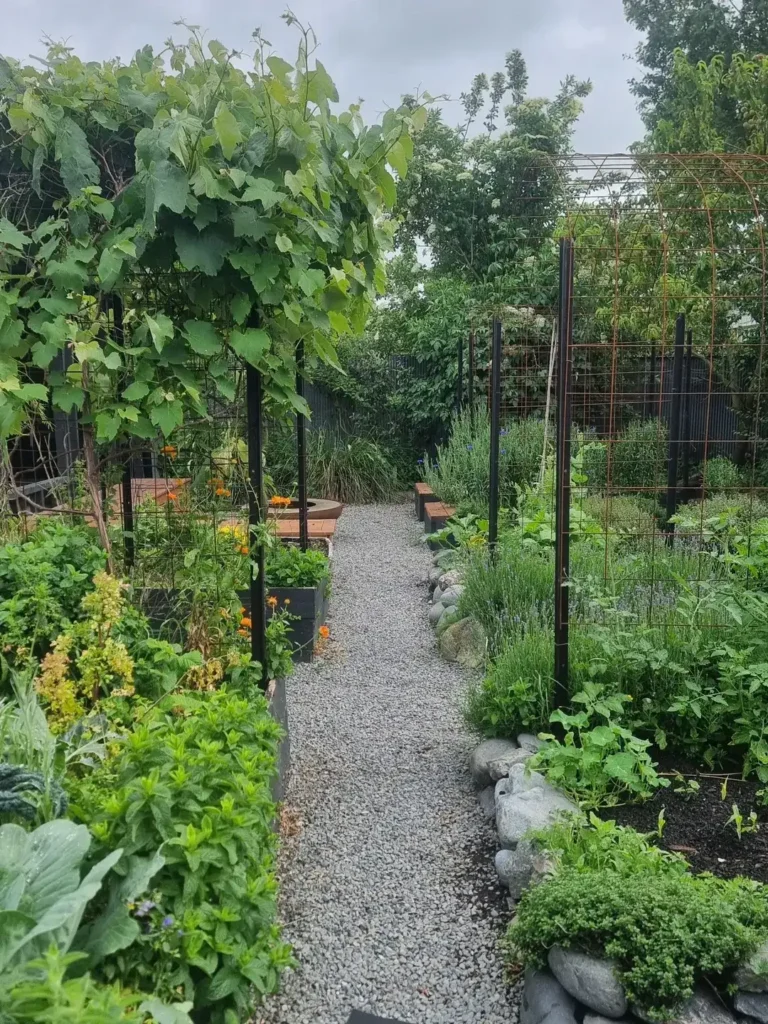 edible woodland landscape permaculture garden (1)