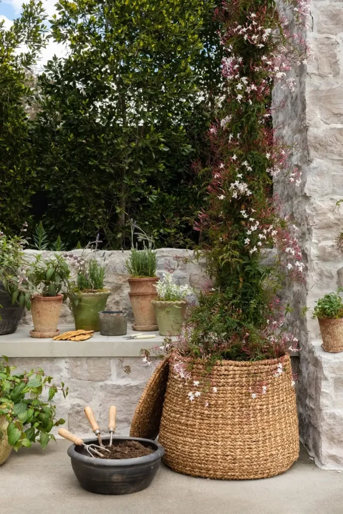 enamelware herb collection