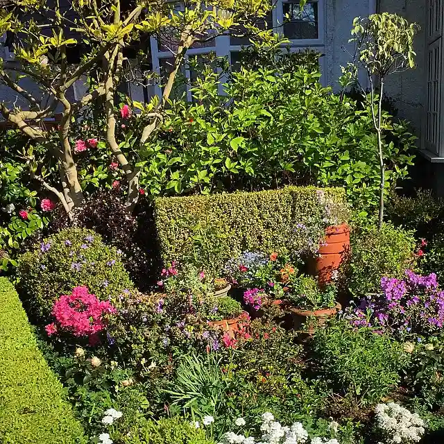 evergreen climber gardens