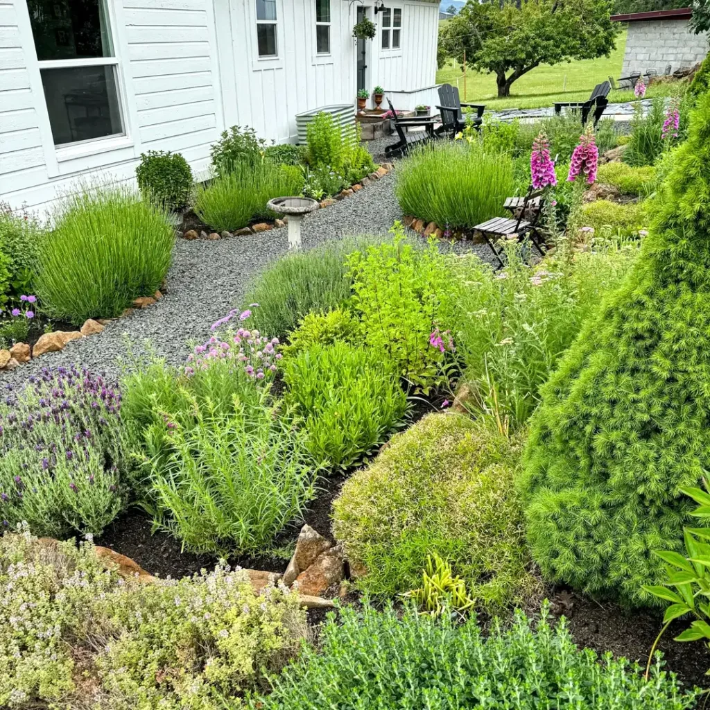 farmhouse herb garden (1)