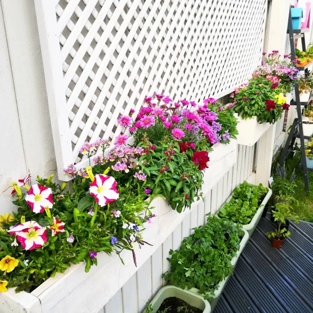flower boxes with fence plants