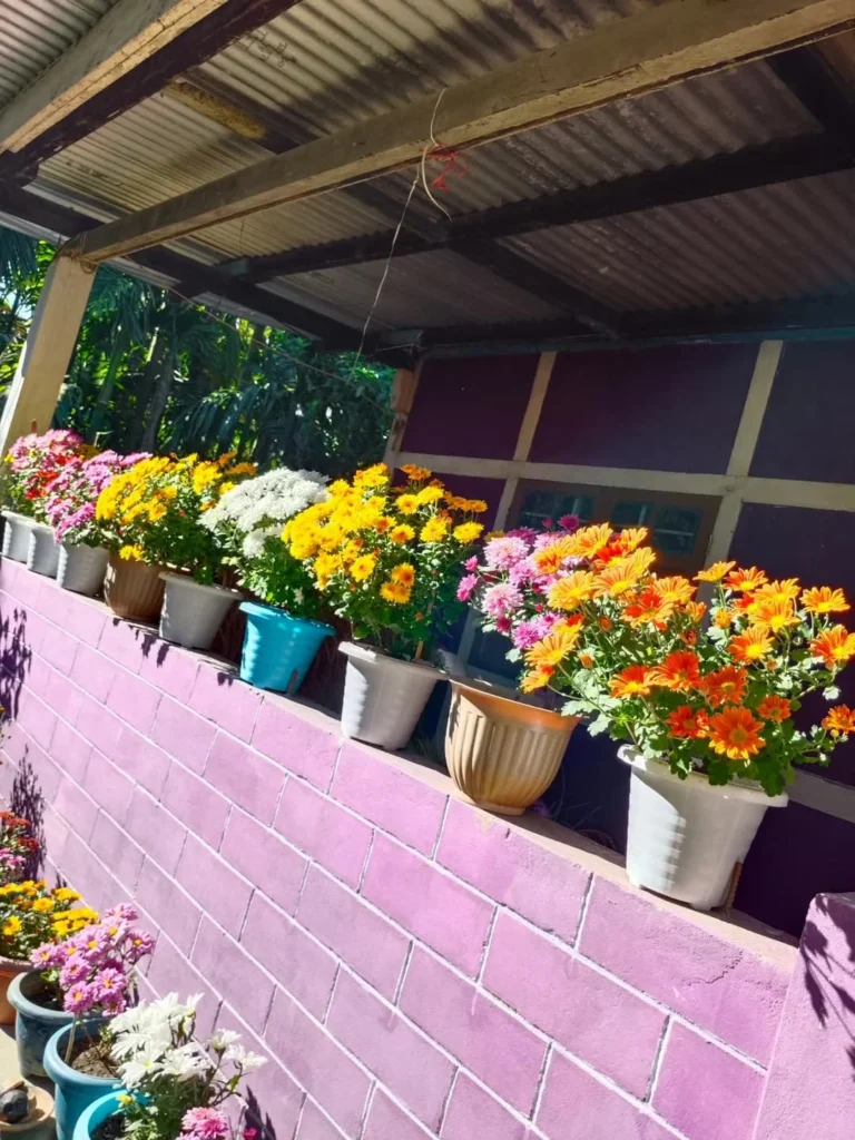 fragrant spring display