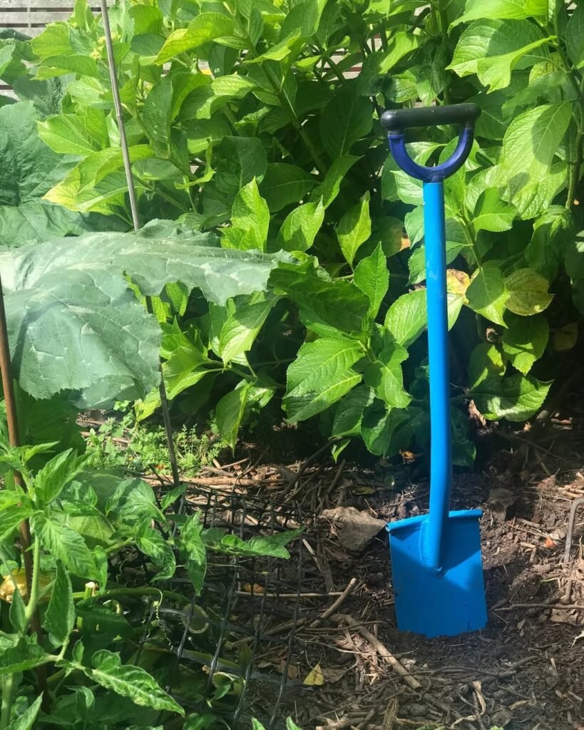 garden spade