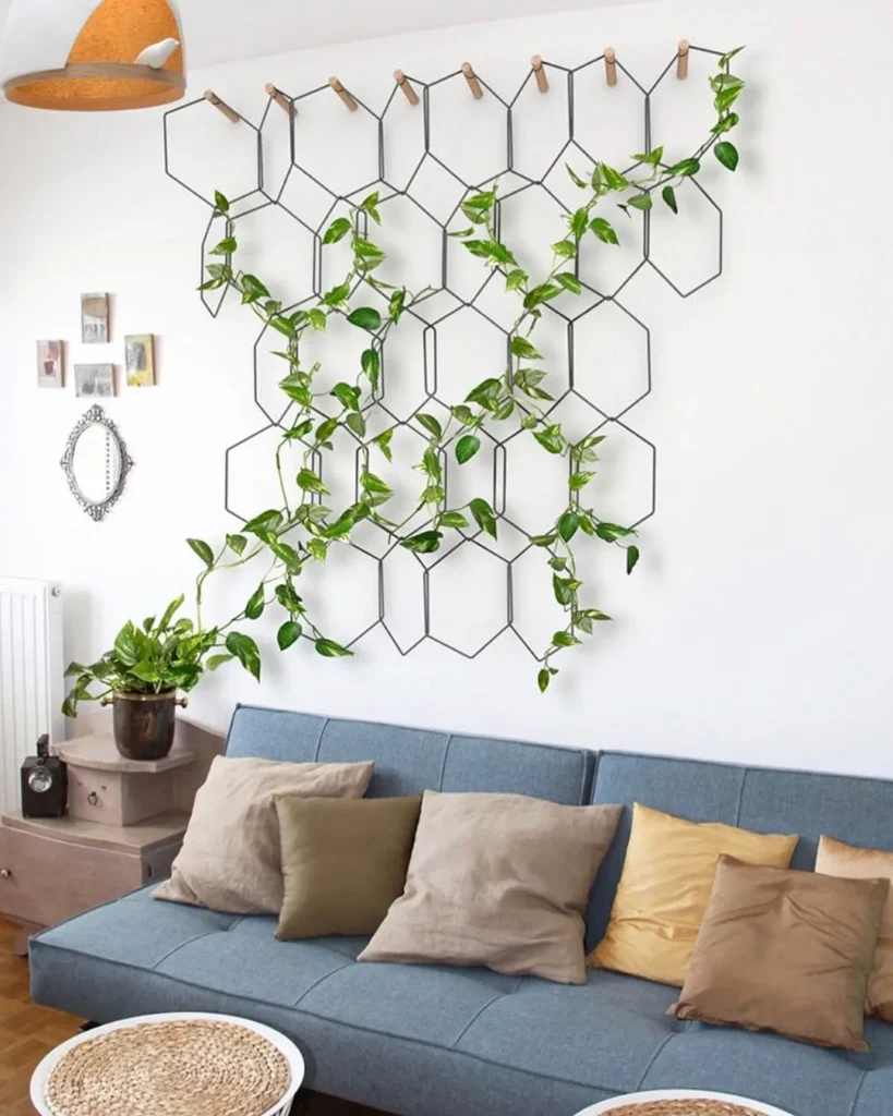 geometric frame indoor garden