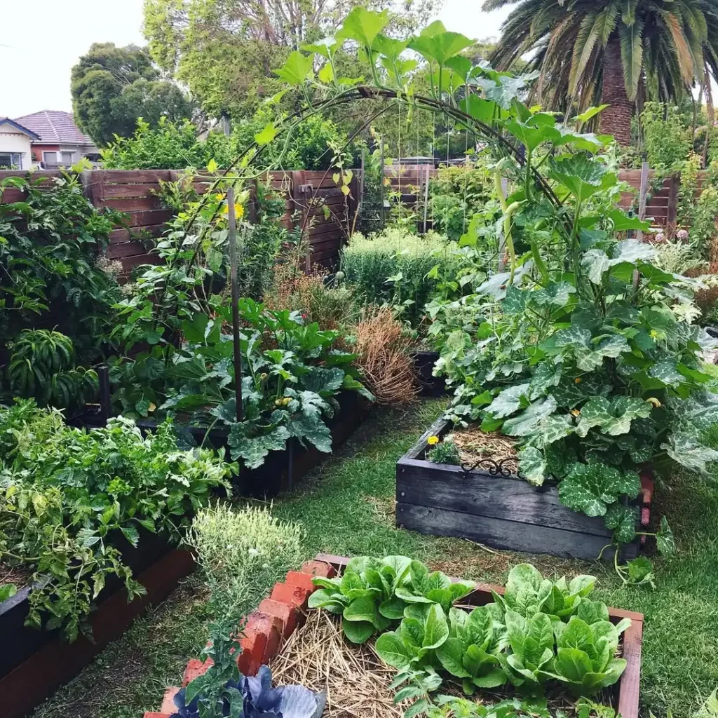 geometric vegetable planter design