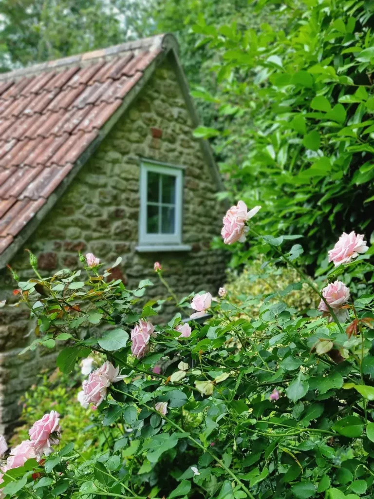 greenery cozy garden