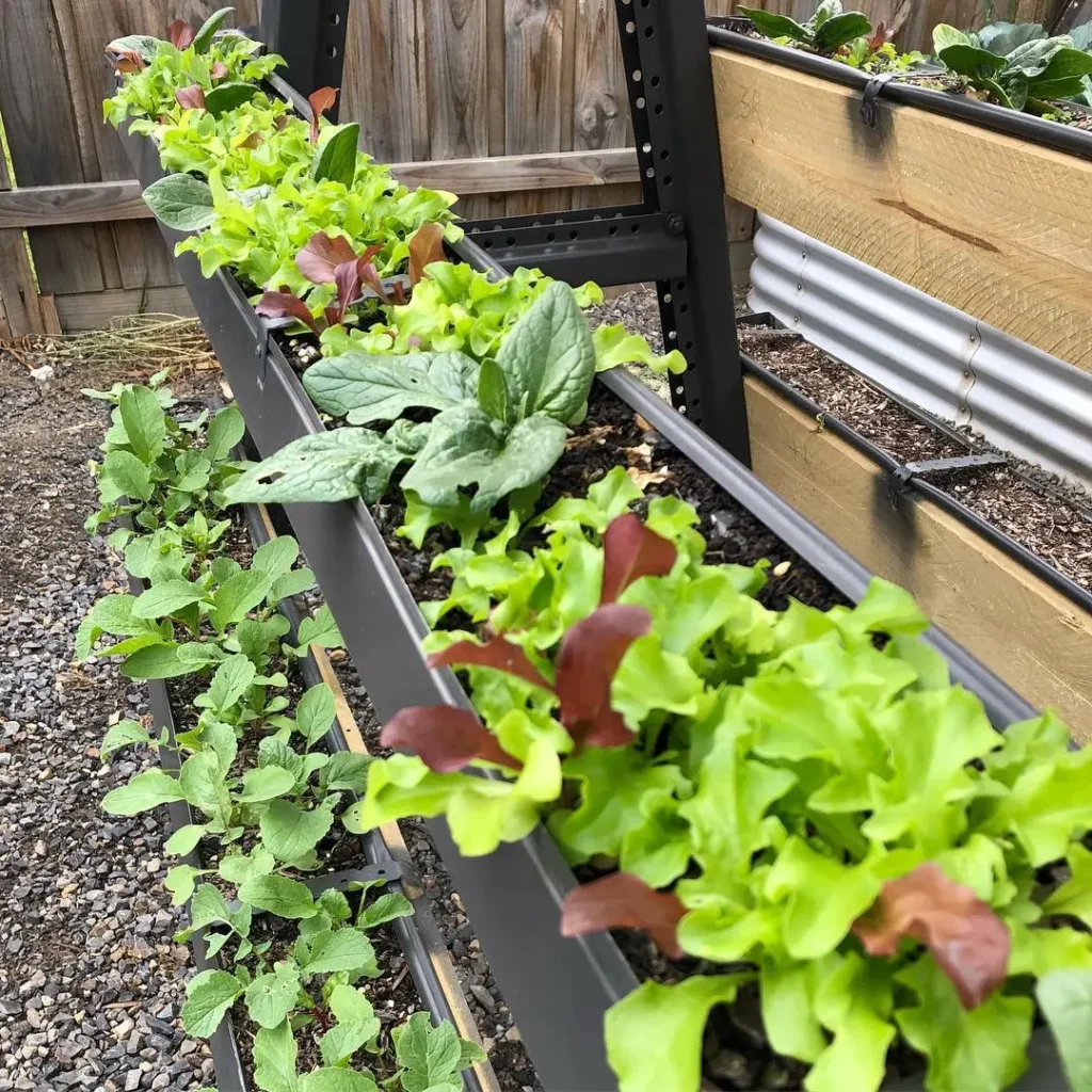 gutter vegetable gardens
