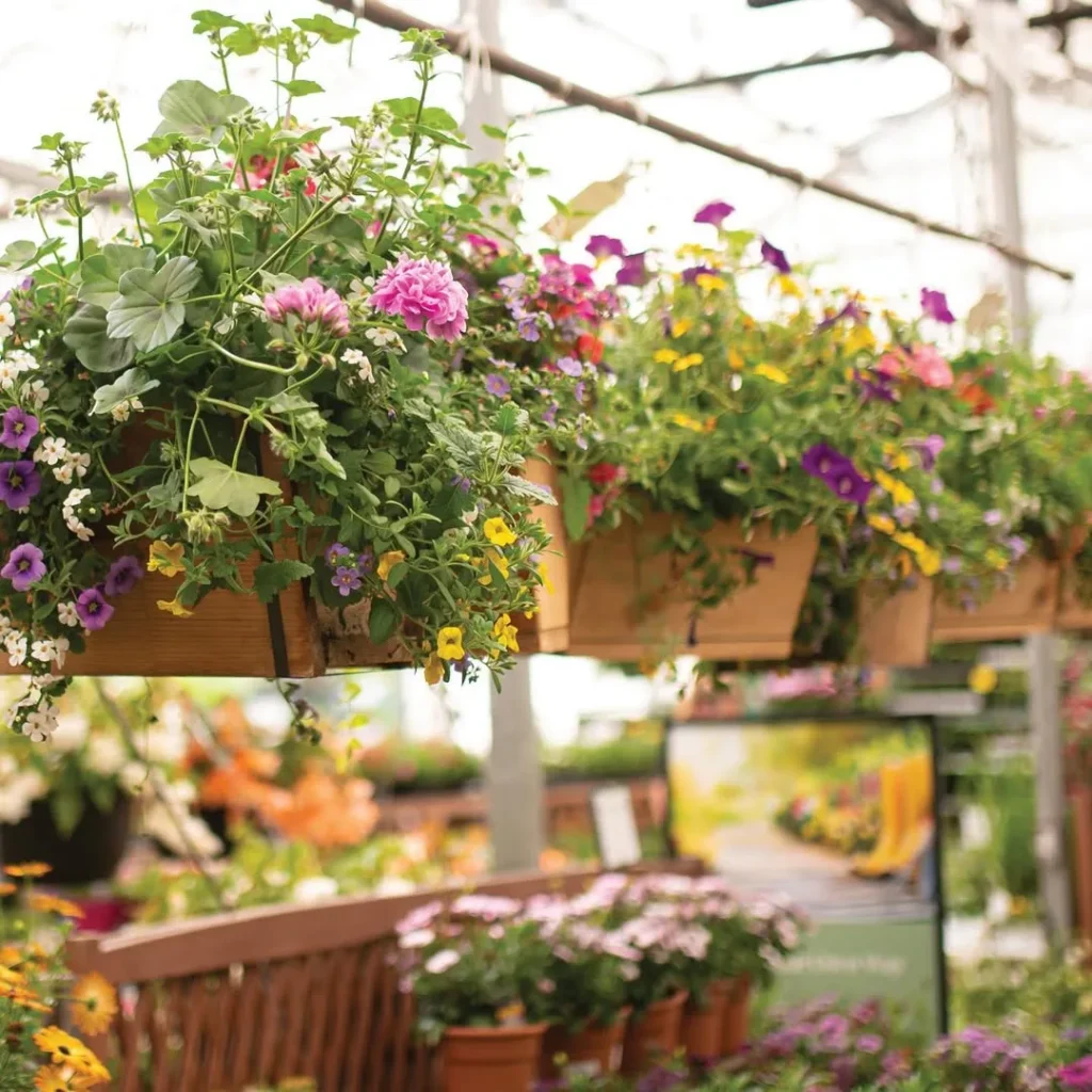 hanging basket container design