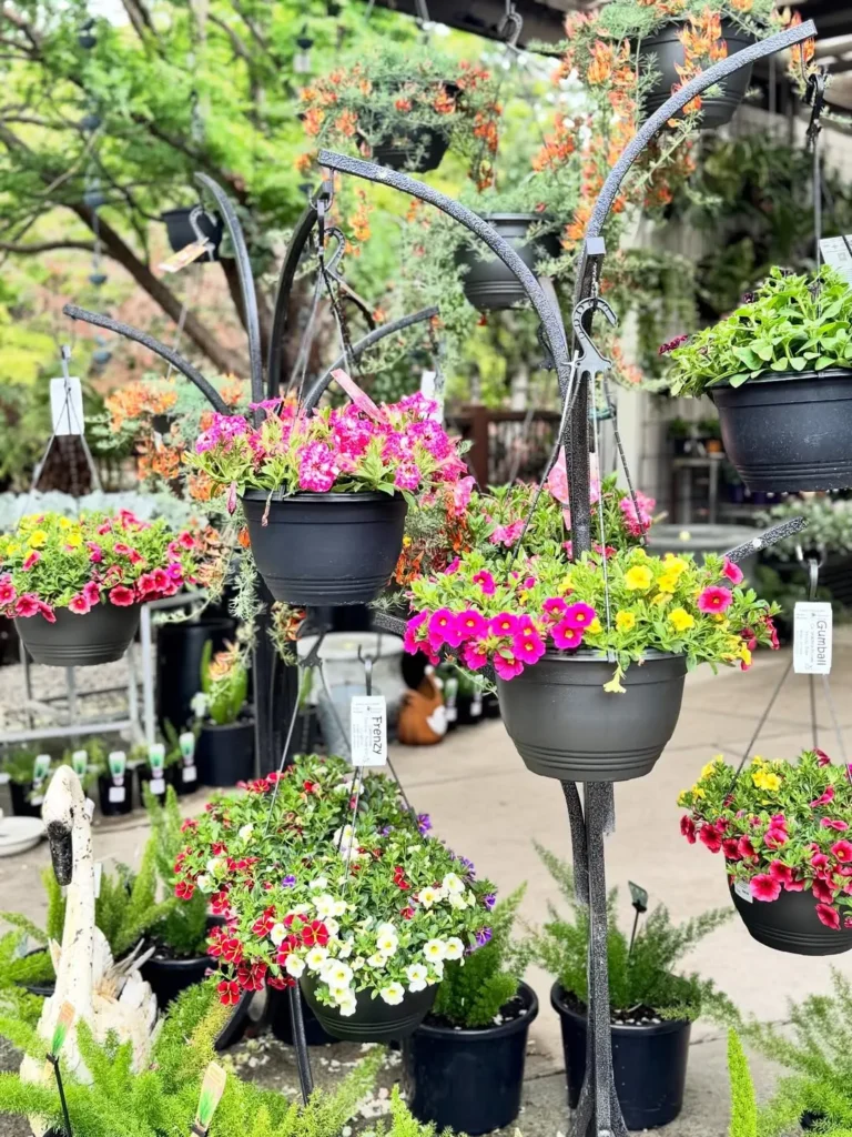 hanging basket flower garden