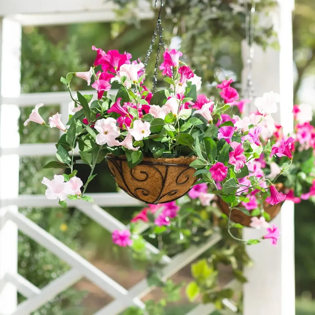 hanging basket indoor garden