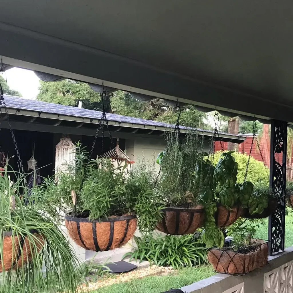 hanging herb garden ideas