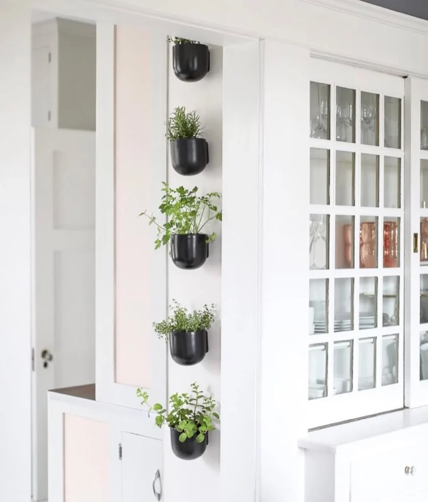 hanging herb planter wall