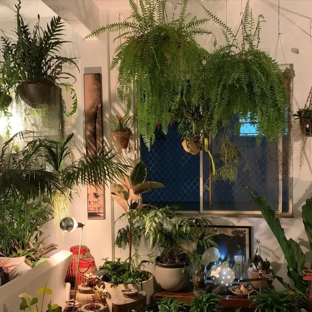 hanging indoor garden