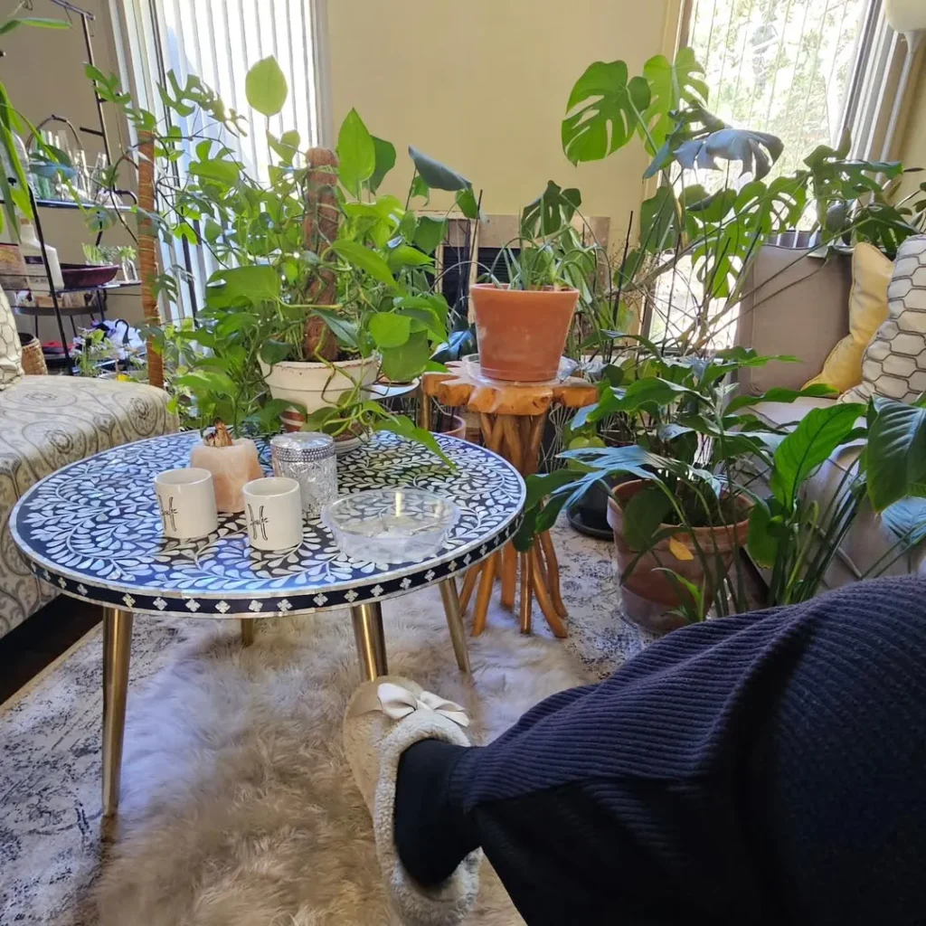 hautehorticulture indoor garden