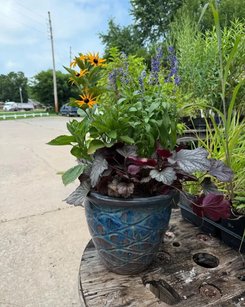 herb and flower mix pot garden