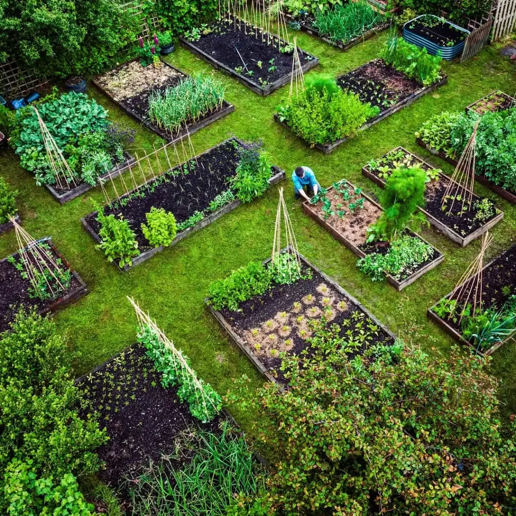 indigenous wisdom permaculture garden (1)