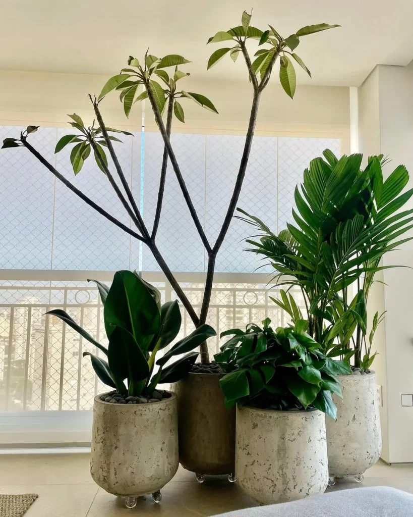 indoor garden inspiration