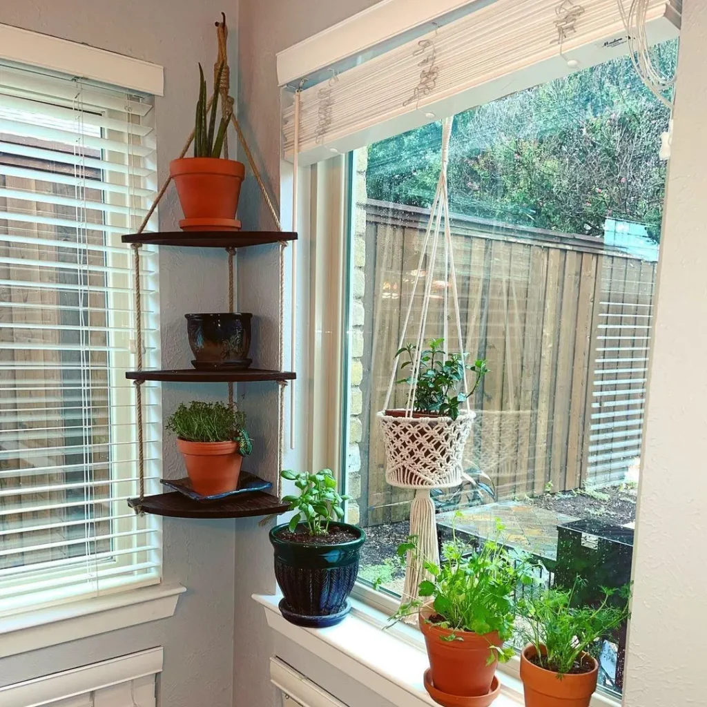 indoor herb garden plants