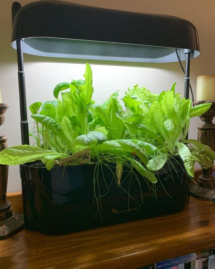 indoor urban harvest hub