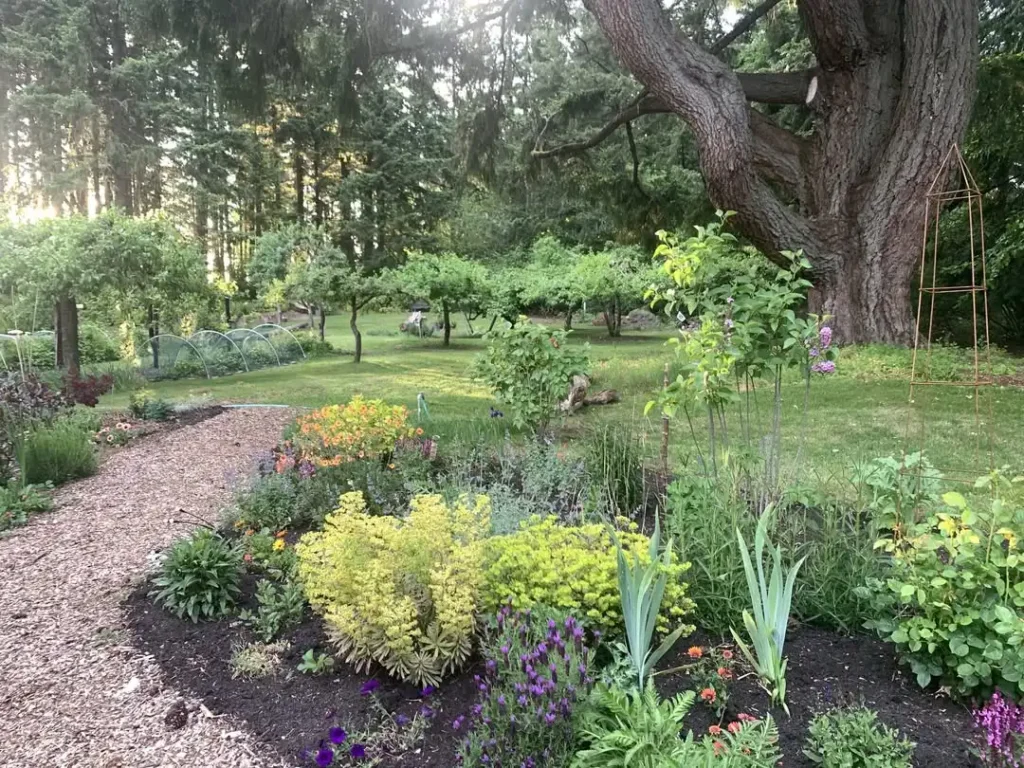 kid friendly large lawn