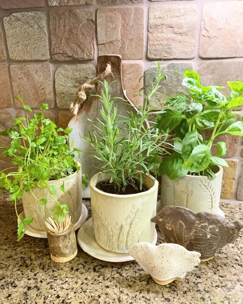 kitchen counter herb garden
