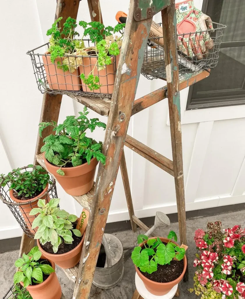 ladder design container garden