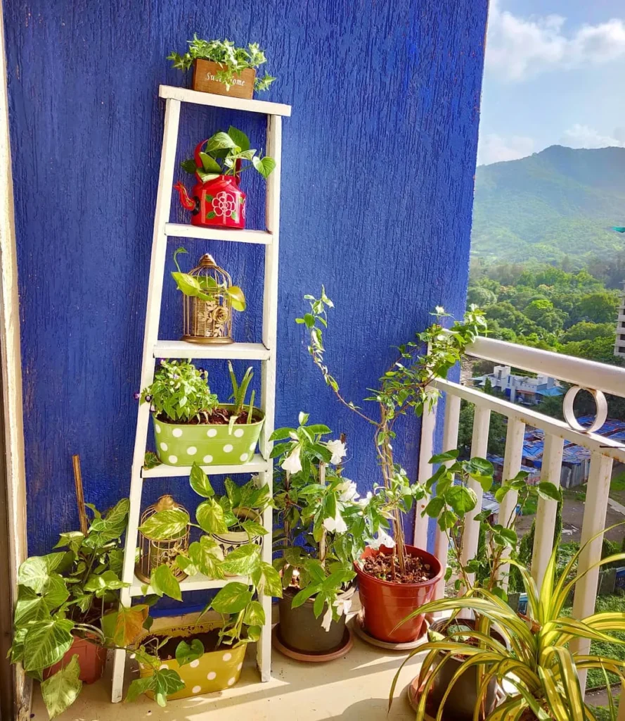 ladder shelf tiered indoor garden