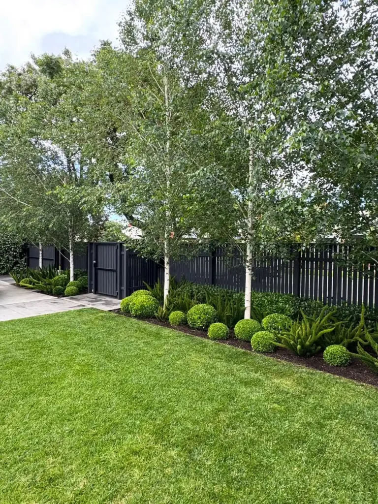 landscape design with fence plants