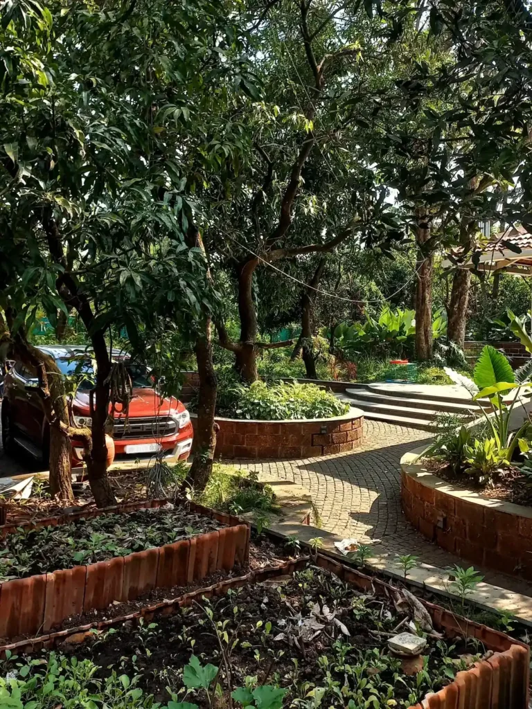 landscape permaculture garden design (1)
