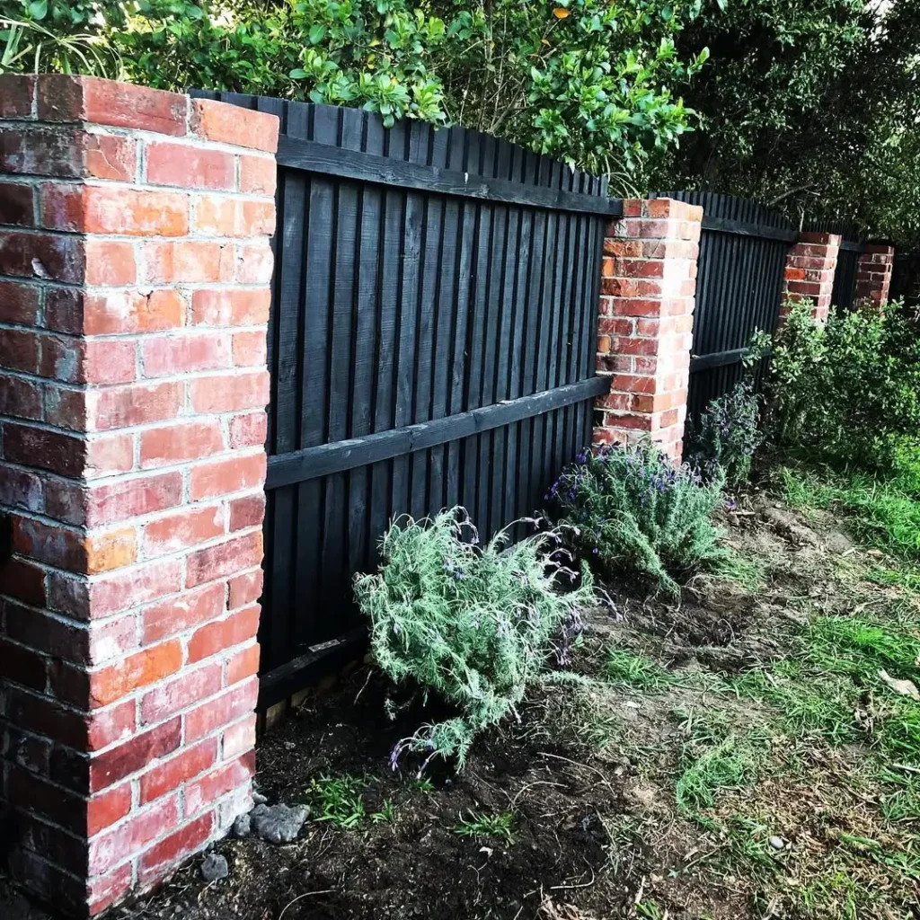lavender bushes fence plants