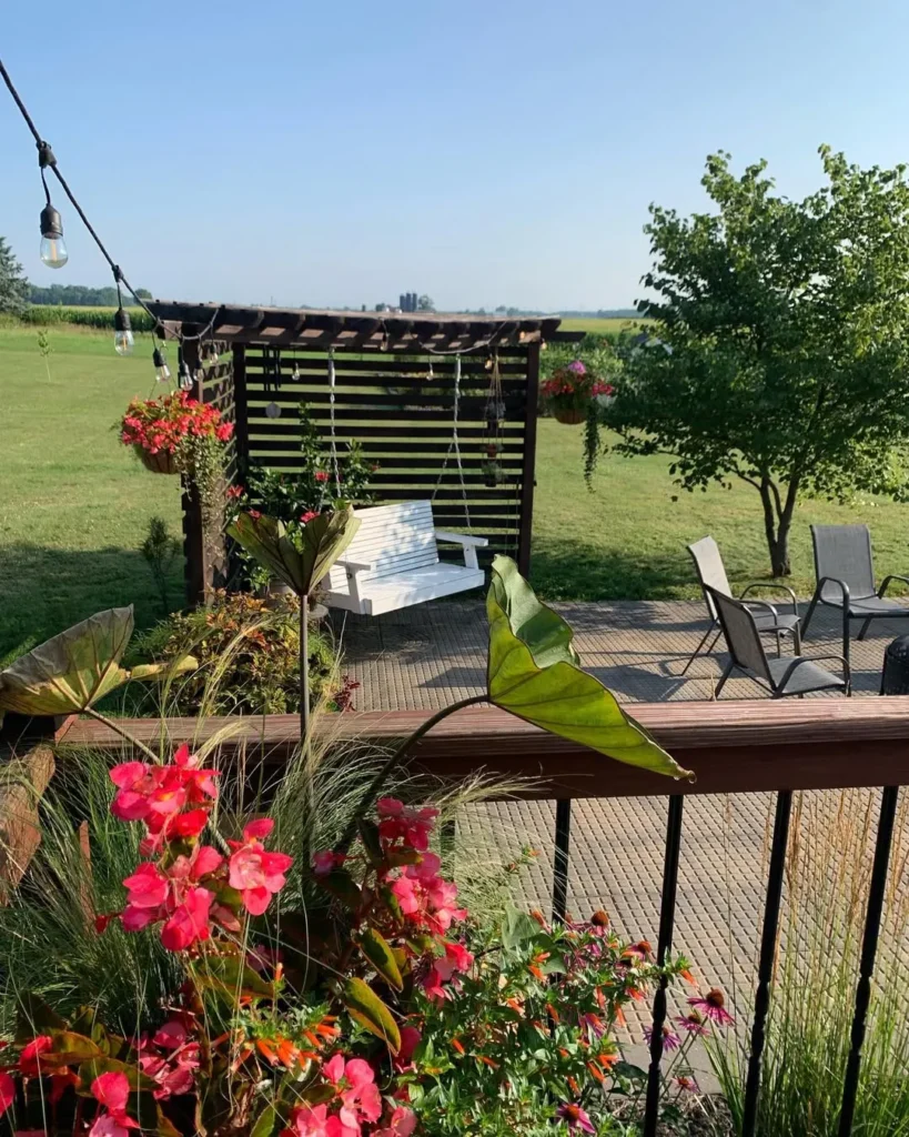 little swing into the patio garden (1)