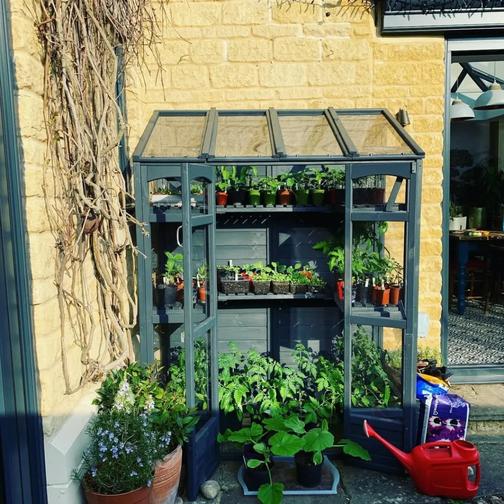 mcombo wooden greenhouse