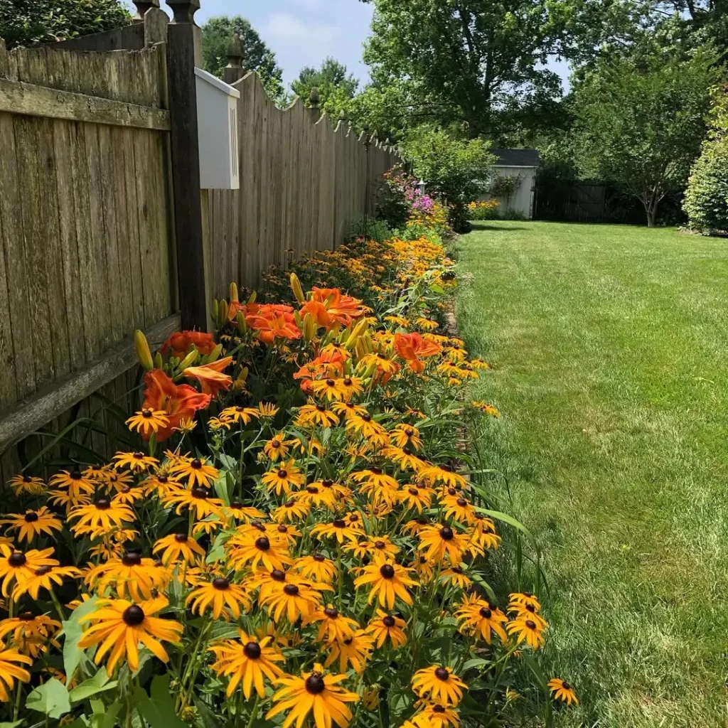 many flowers with fence plants