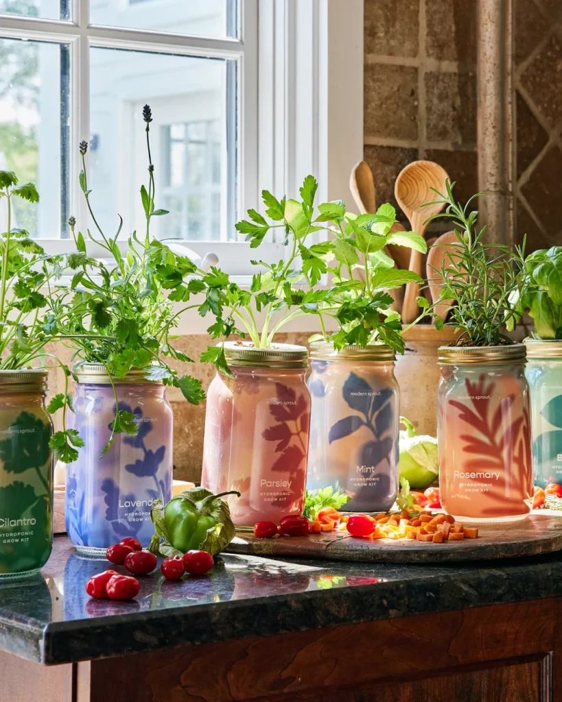 mason jar herb indoor garden