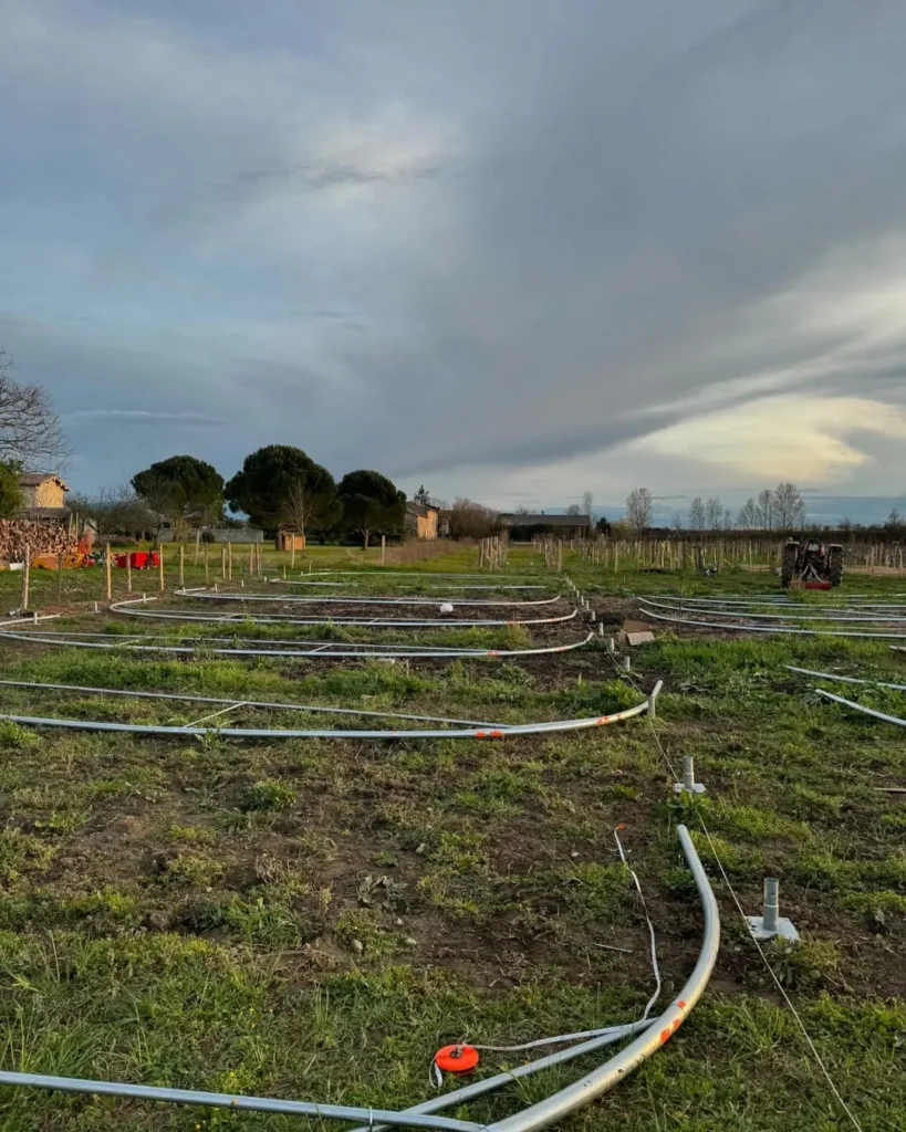 microclimate permaculture garden haven