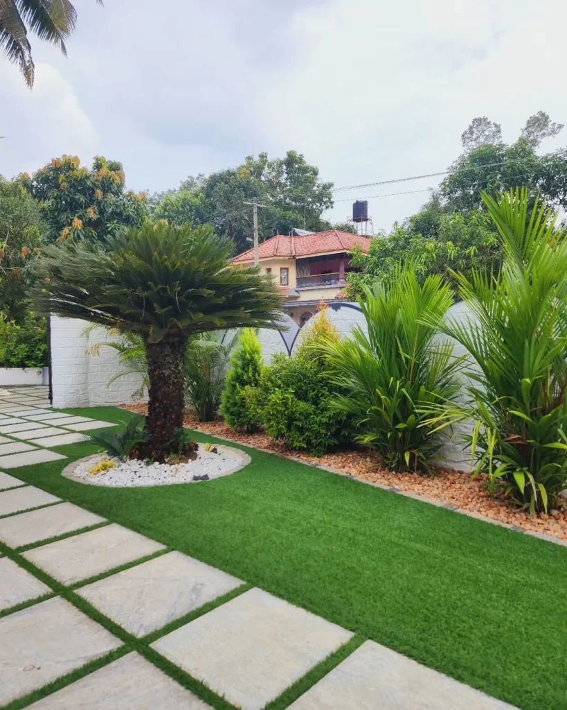 palm paradise garden